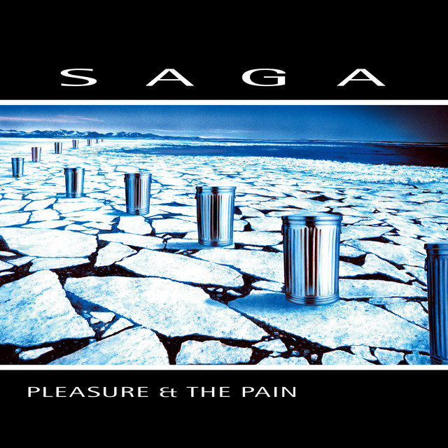 Pleasure and the Pain album cover