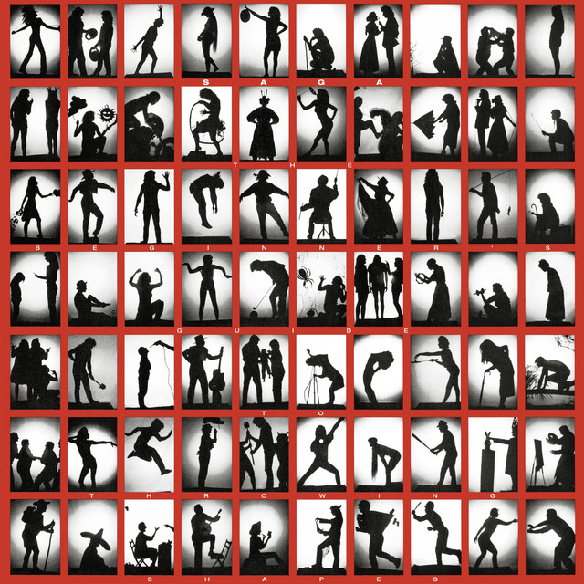 The Beginner's Guide to Throwing Shapes album cover