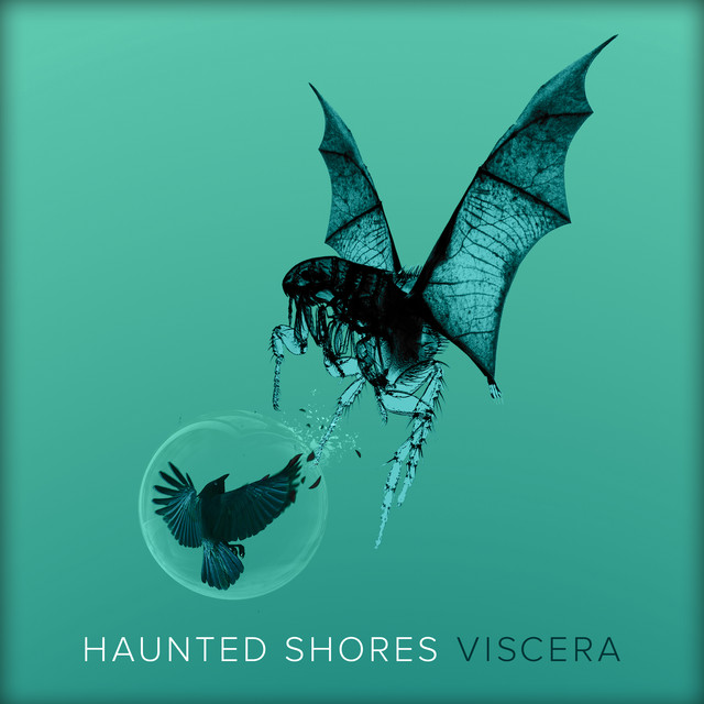 Viscera album cover