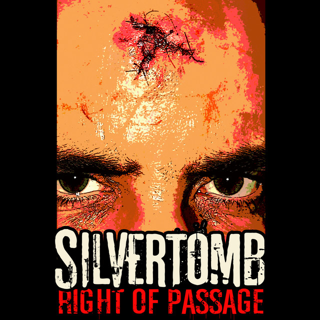 Sustainiac Stealth Pro Kit as heard on Right of Passage / Crossing Over by Silvertomb (2019)