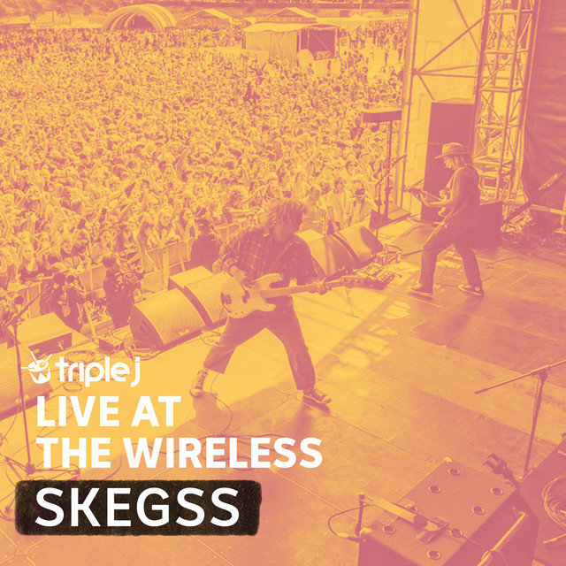 Triple J Live at the Wireless - Laneway 2019 album cover