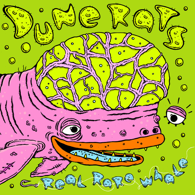 Real Rare Whale album cover