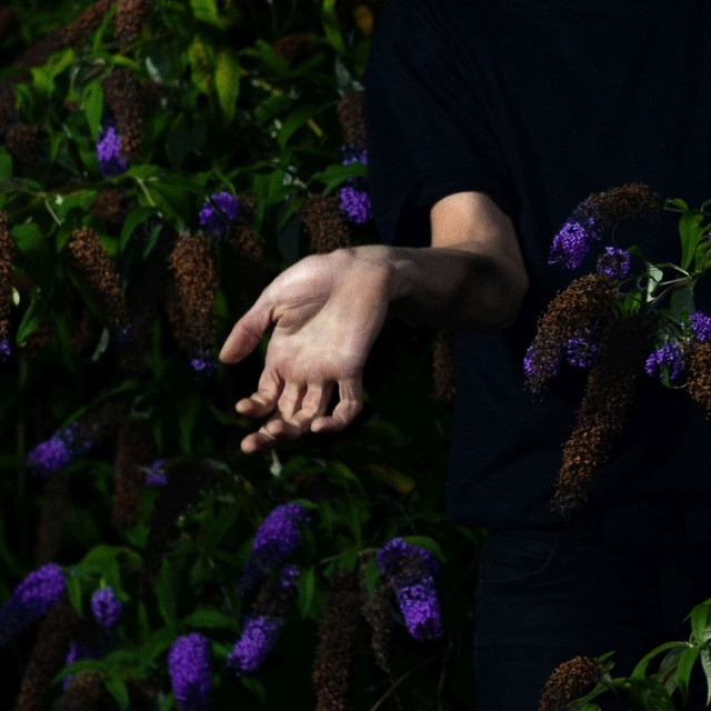 In Velvet album cover