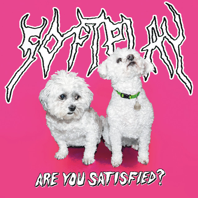Are You Satisfied? album cover