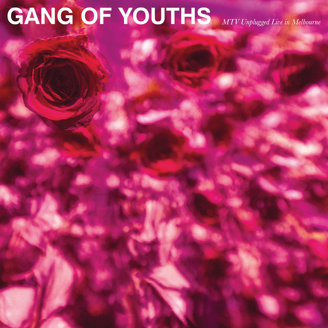 Gretsch G6136T White Falcon Electric Guitar as heard on Fear And Trembling (MTV Unplugged Live In Melbourne) by Gang of Youths (2018)