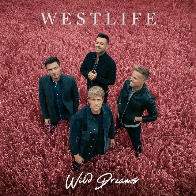 Martin D-28 as heard on Wild Dreams (Deluxe Edition) by Westlife (2021)