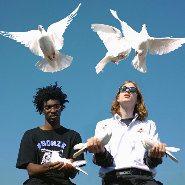 Birds Fly By Night album cover