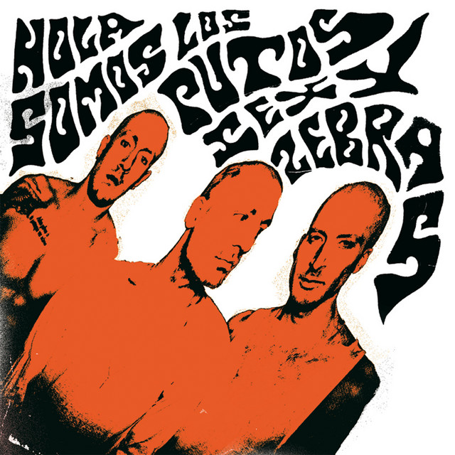 Hola, Somos los Putos Sexy Zebras album cover