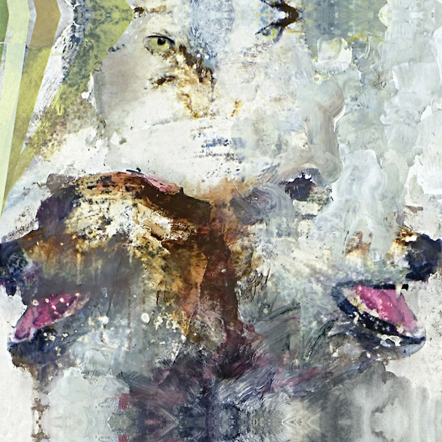 Tail Swallower and Dove album cover