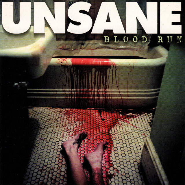 Blood Run album cover