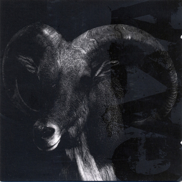 I Dont Care Where I Go When I Die album cover