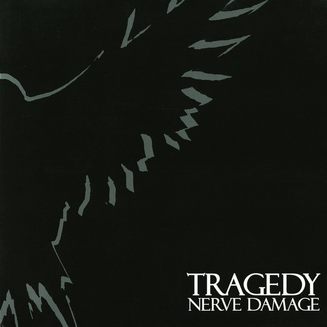 Nerve Damage album cover