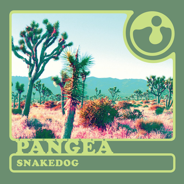 Fender Stratocaster Electric Guitar as heard on Snakedog by together PANGEA & Together Pangea (2013)