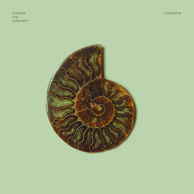 Terrapin album cover