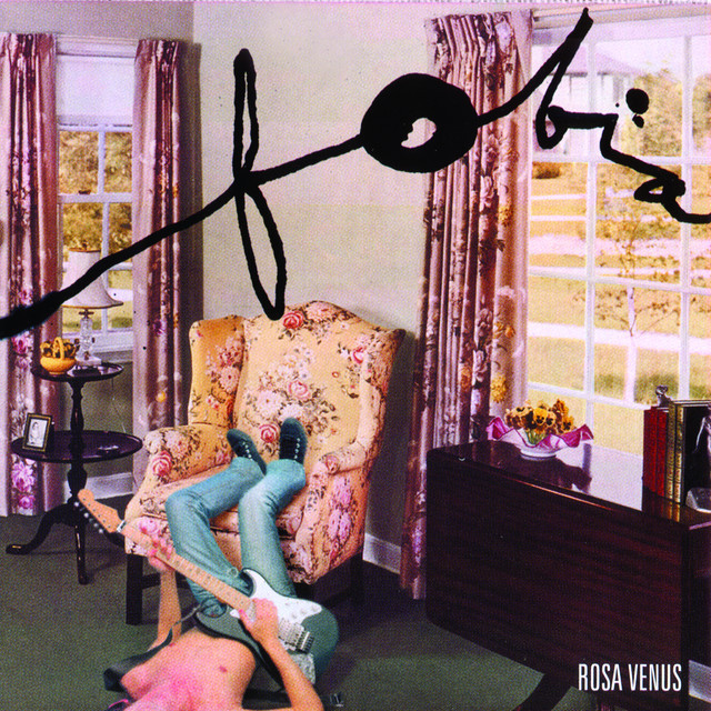 Roland Juno-106 as heard on Rosa Venus by Fobia (2005)