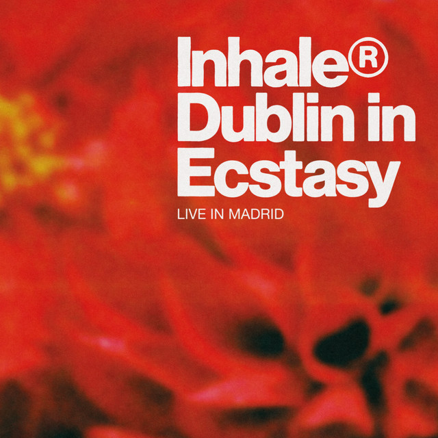Boss DD-8 Digital Delay as heard on Dublin in Ecstasy (Live At La Riviera, Madrid) by Inhaler (2025)