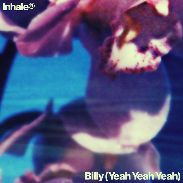 Strymon TimeLine as heard on Billy (Yeah Yeah Yeah) by Inhaler (2025)