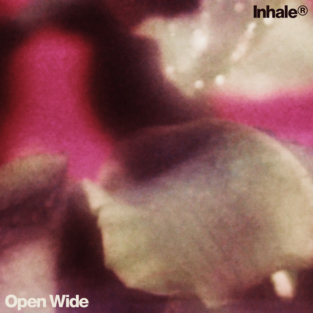 Strymon Mobius Modulator as heard on Open Wide by Inhaler (2024)
