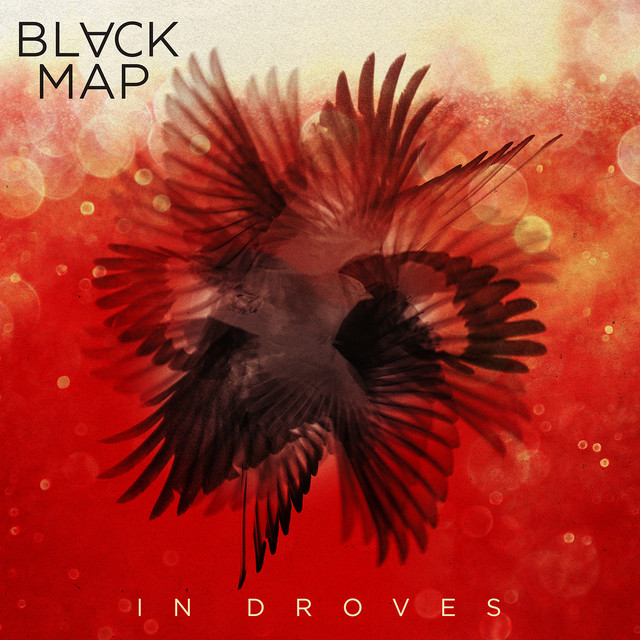 In Droves album cover