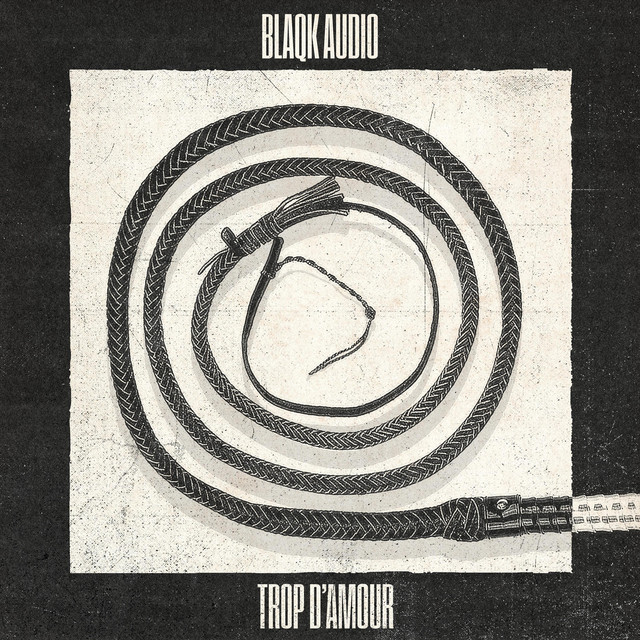 Trop d'amour album cover