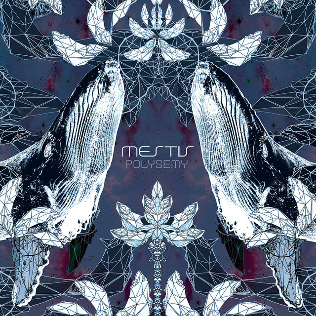 Polysemy album cover