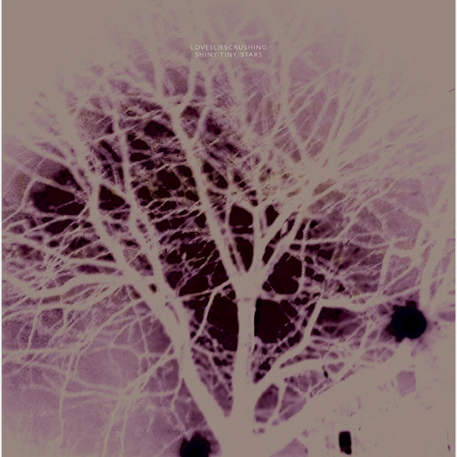 shiny tiny stars album cover