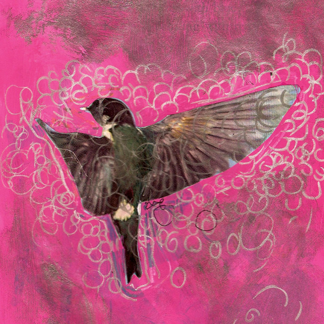 girl echo suns veils album cover