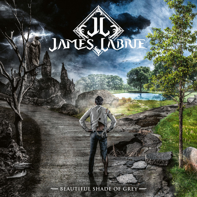 Beautiful Shade Of Grey album cover