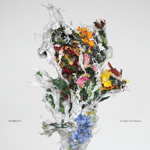 A Chaos Of Flowers album cover