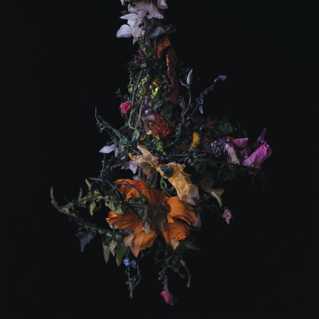 nature morte album cover