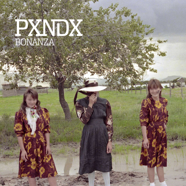 Bonanza album cover