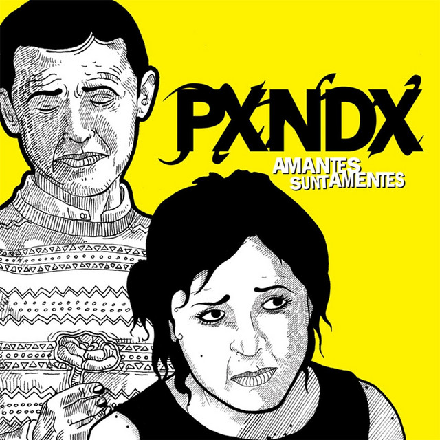 Amantes Sunt Amentes album cover