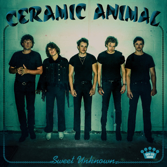 Sweet Unknown album cover