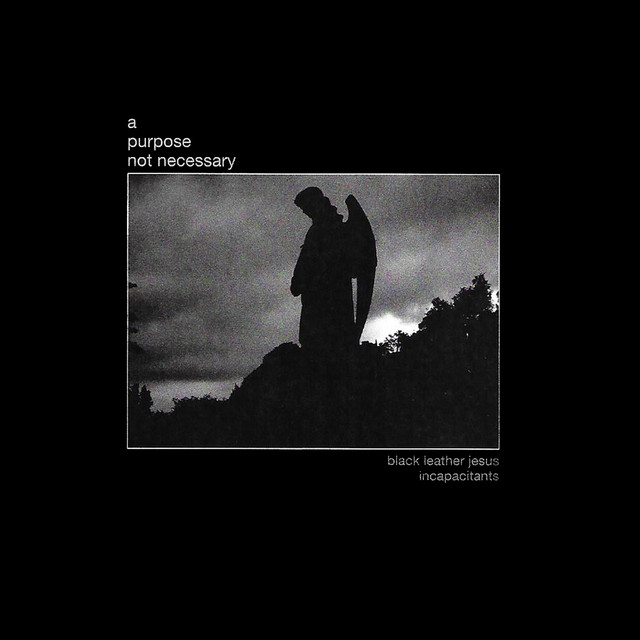 A Purpose Not Necessary album cover