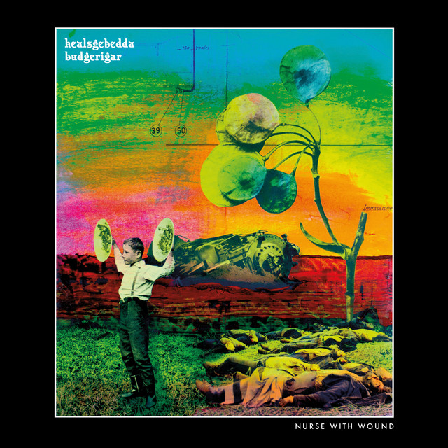 HEALSGEBEDDA BUDGERIGAR album cover