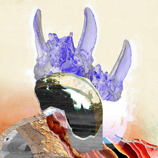 Wanderflower album cover