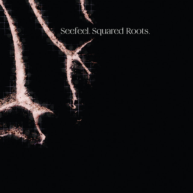 Squared Roots album cover