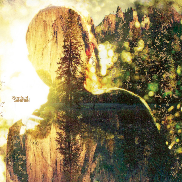 Seefeel album cover
