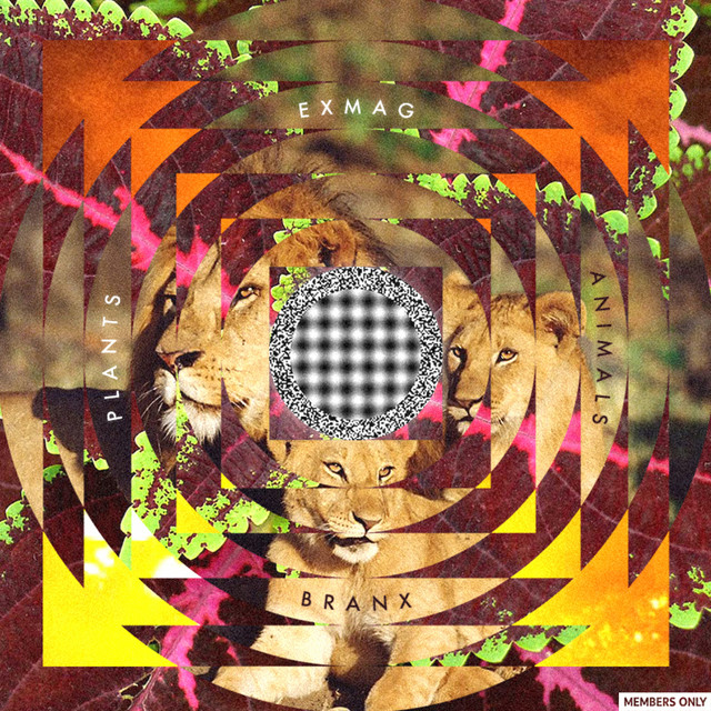 Plants and Animals album cover