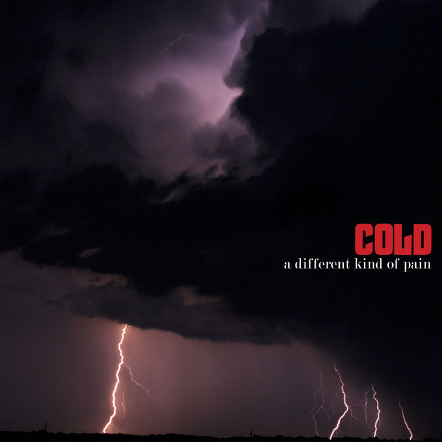 A Different Kind Of Pain (Domestic Version) album cover