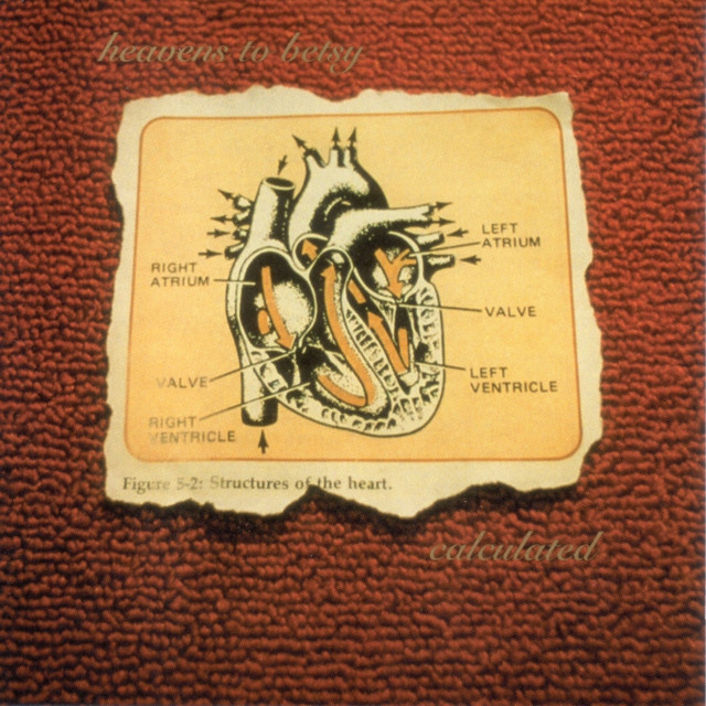 Calculated album cover