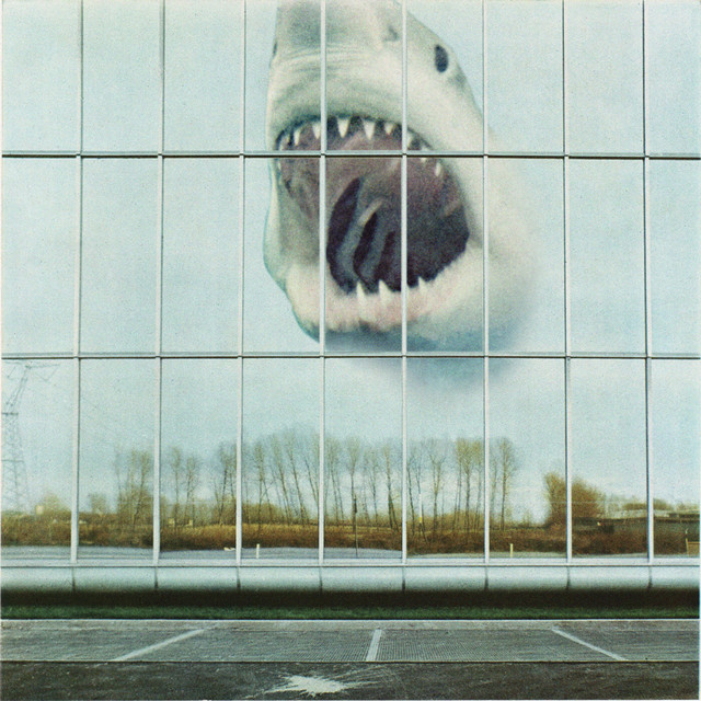 Wilderness Heart album cover