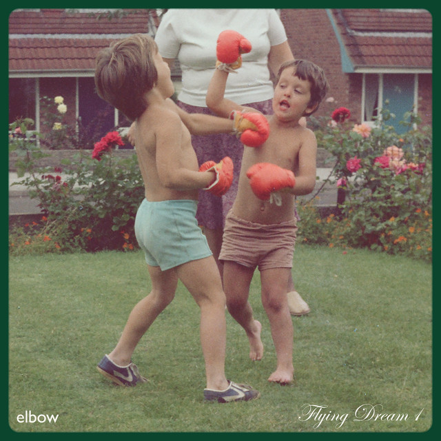 Flying Dream 1 album cover