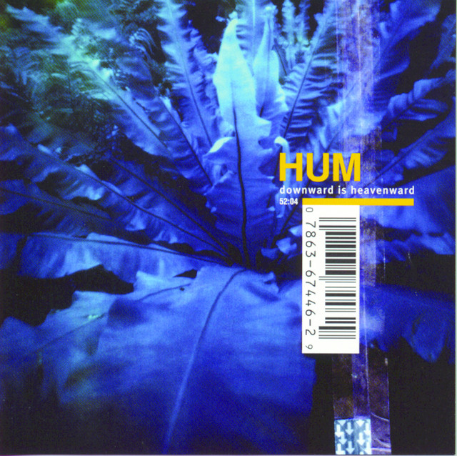 Downward Is Heavenward album cover