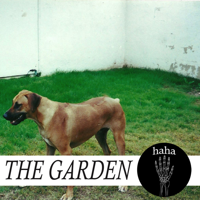 haha album cover