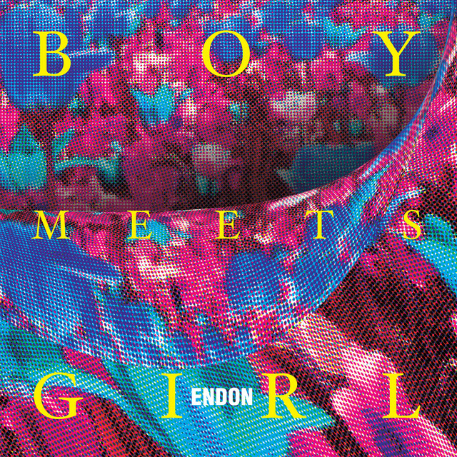 Boy Meets Girl album cover