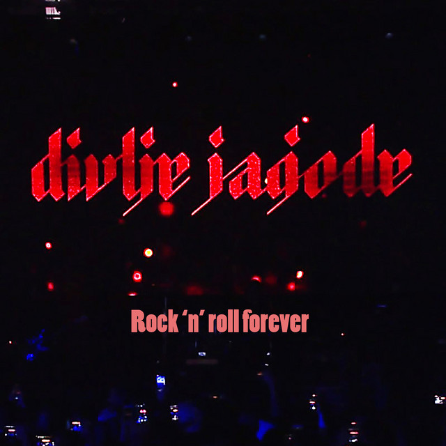 Rock 'n' roll forever album cover
