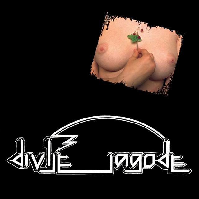 Divlje Jagode album cover