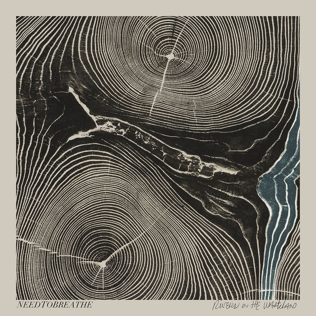 Rivers in the Wasteland Track-by-Track album cover