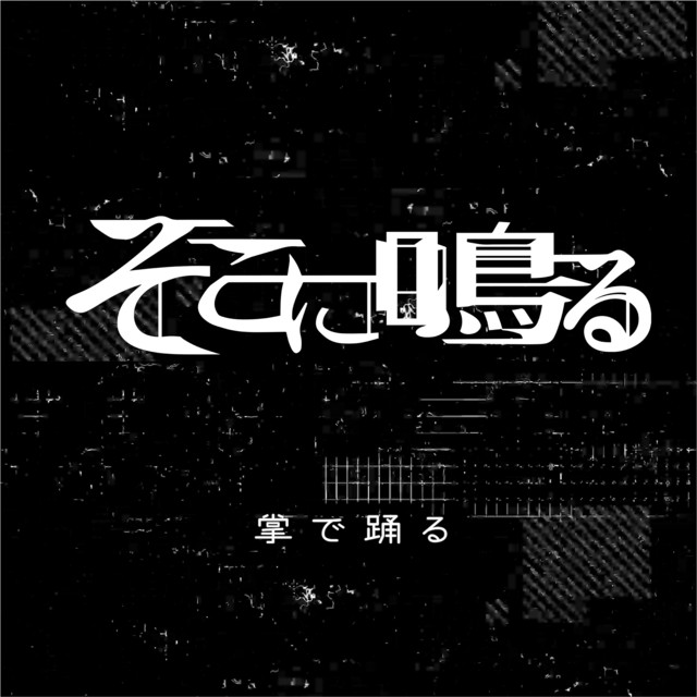 Roland JC-120 Jazz Chorus as heard on 掌で踊る by Sokoninaru (2018)